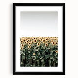 Farmhouse Wall Art - Vibrant Sunflower Field for Rustic Country Decor