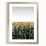 Farmhouse Wall Art - Vibrant Sunflower Field for Rustic Country Decor