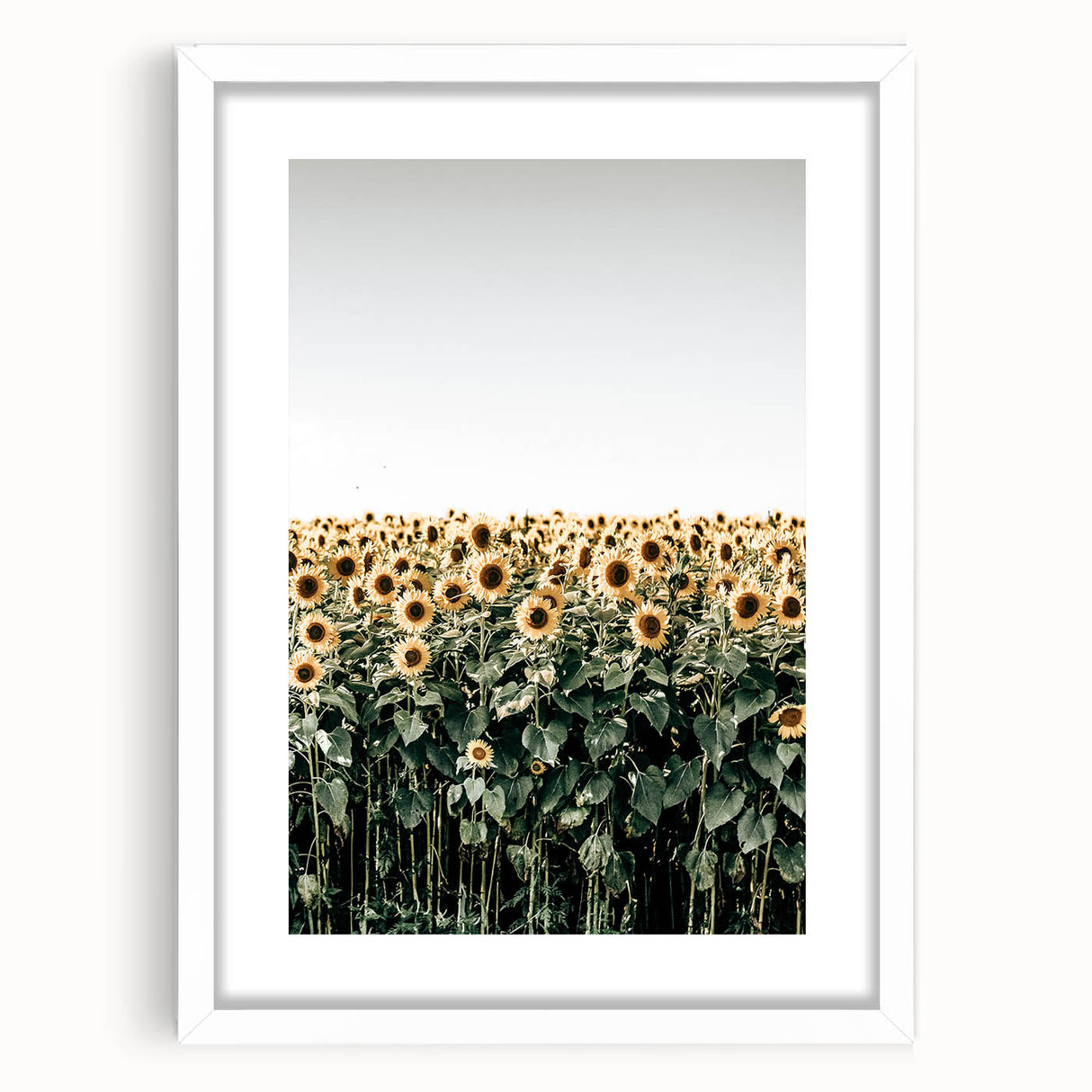 Farmhouse Wall Art - Vibrant Sunflower Field for Rustic Country Decor