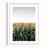Farmhouse Wall Art - Vibrant Sunflower Field for Rustic Country Decor
