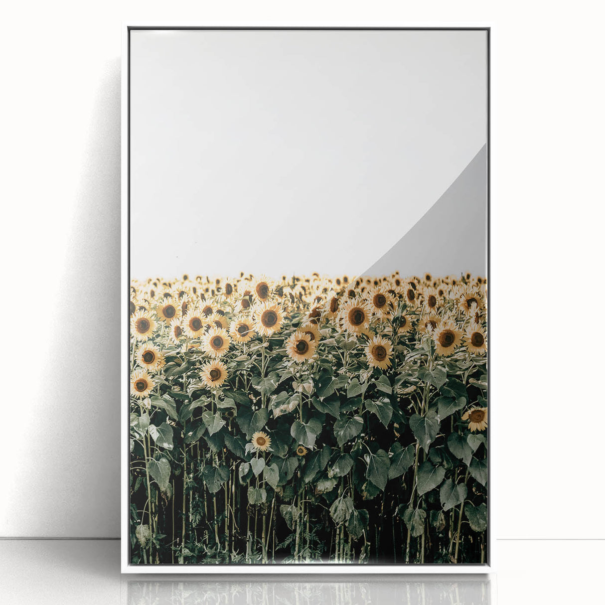 Farmhouse Wall Art - Vibrant Sunflower Field for Rustic Country Decor
