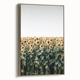 Farmhouse Wall Art - Vibrant Sunflower Field for Rustic Country Decor