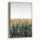 Farmhouse Wall Art - Vibrant Sunflower Field for Rustic Country Decor