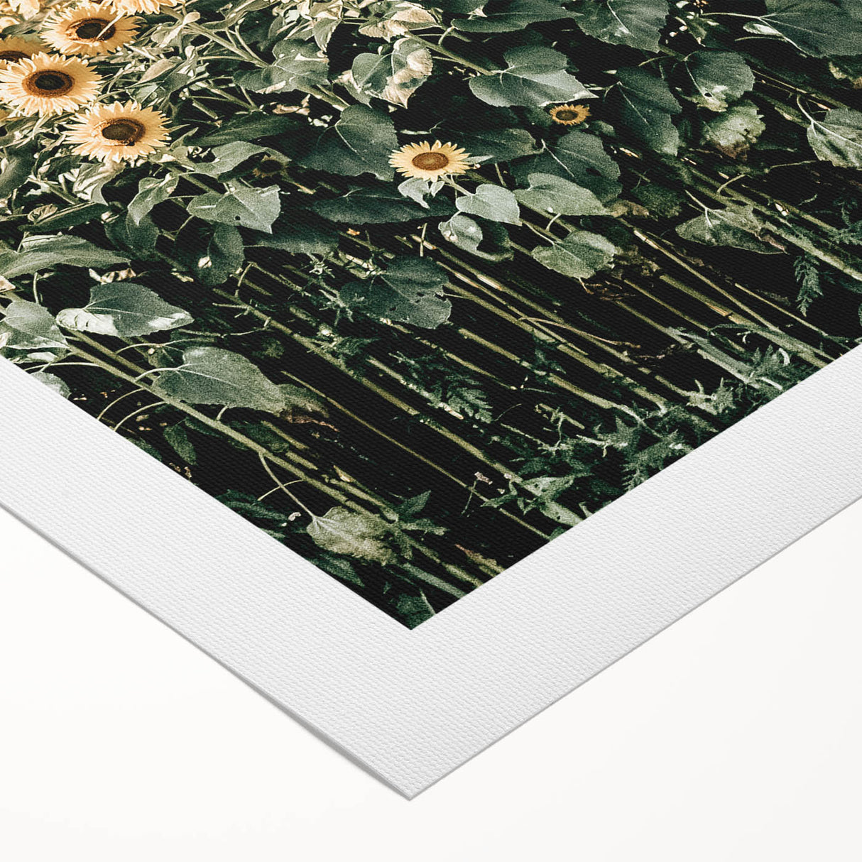 Farmhouse Wall Art - Vibrant Sunflower Field for Rustic Country Decor