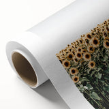 Farmhouse Wall Art - Vibrant Sunflower Field for Rustic Country Decor