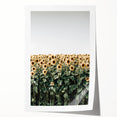 Farmhouse Wall Art - Vibrant Sunflower Field for Rustic Country Decor