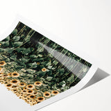 Farmhouse Wall Art - Vibrant Sunflower Field for Rustic Country Decor