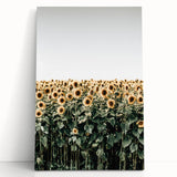 Farmhouse Wall Art - Vibrant Sunflower Field for Rustic Country Decor