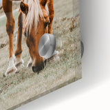 Farmhouse Wall Art - Grazing Horse Rustic Country Style Decor Print