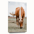 Farmhouse Wall Art - Grazing Horse Rustic Country Style Decor Print