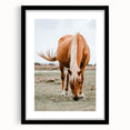 Farmhouse Wall Art - Grazing Horse Rustic Country Style Decor Print