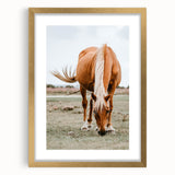Farmhouse Wall Art - Grazing Horse Rustic Country Style Decor Print