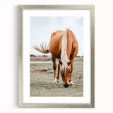 Farmhouse Wall Art - Grazing Horse Rustic Country Style Decor Print