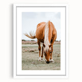 Farmhouse Wall Art - Grazing Horse Rustic Country Style Decor Print