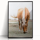 Farmhouse Wall Art - Grazing Horse Rustic Country Style Decor Print