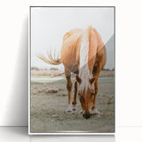 Farmhouse Wall Art - Grazing Horse Rustic Country Style Decor Print