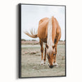 Farmhouse Wall Art - Grazing Horse Rustic Country Style Decor Print