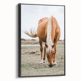 Farmhouse Wall Art - Grazing Horse Rustic Country Style Decor Print