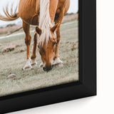 Farmhouse Wall Art - Grazing Horse Rustic Country Style Decor Print