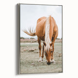 Farmhouse Wall Art - Grazing Horse Rustic Country Style Decor Print