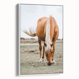 Farmhouse Wall Art - Grazing Horse Rustic Country Style Decor Print