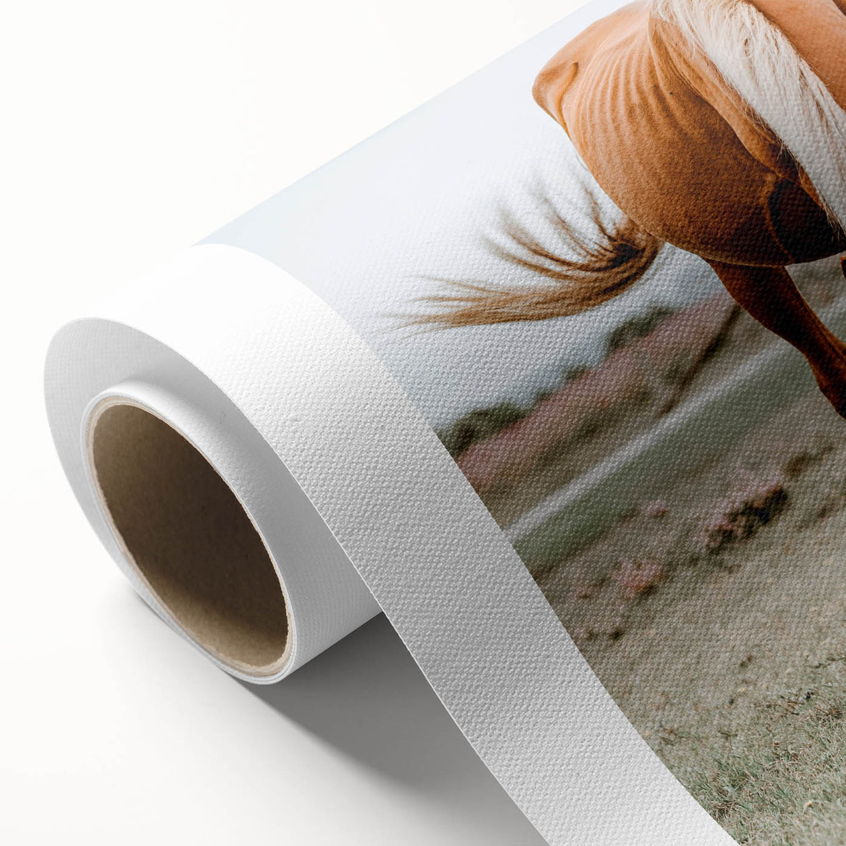 Farmhouse Wall Art - Grazing Horse Rustic Country Style Decor Print