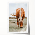 Farmhouse Wall Art - Grazing Horse Rustic Country Style Decor Print