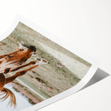 Farmhouse Wall Art - Grazing Horse Rustic Country Style Decor Print