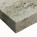 Farmhouse Wall Art - Grazing Horse Rustic Country Style Decor Print