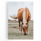 Farmhouse Wall Art - Grazing Horse Rustic Country Style Decor Print