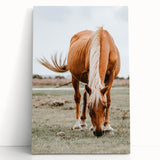 Farmhouse Wall Art - Grazing Horse Rustic Country Style Decor Print