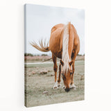 Farmhouse Wall Art - Grazing Horse Rustic Country Style Decor Print