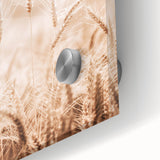 Farmhouse Wall Art - Wheat Field for Rustic Country Living Decor