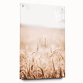 Farmhouse Wall Art - Wheat Field for Rustic Country Living Decor
