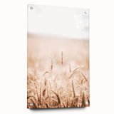 Farmhouse Wall Art - Wheat Field for Rustic Country Living Decor