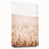 Farmhouse Wall Art - Wheat Field for Rustic Country Living Decor