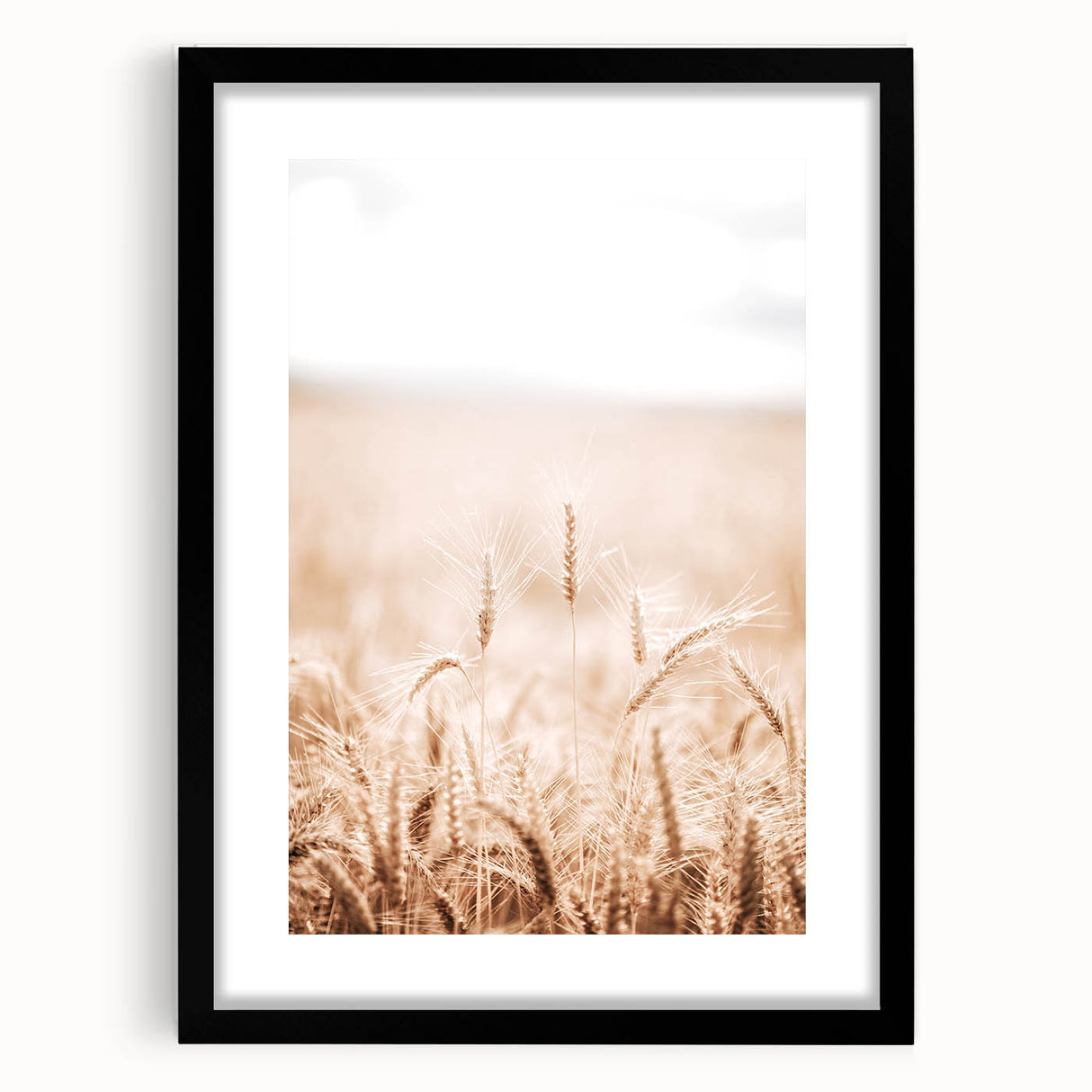 Farmhouse Wall Art - Wheat Field for Rustic Country Living Decor