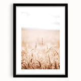 Farmhouse Wall Art - Wheat Field for Rustic Country Living Decor