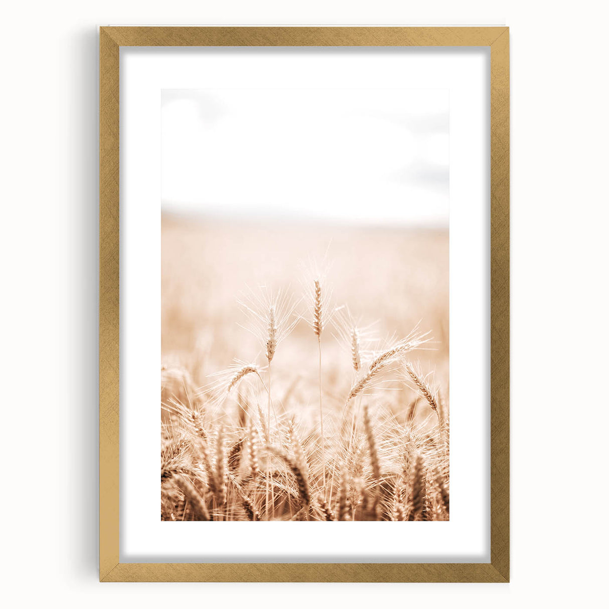 Farmhouse Wall Art - Wheat Field for Rustic Country Living Decor