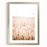 Farmhouse Wall Art - Wheat Field for Rustic Country Living Decor