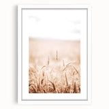 Farmhouse Wall Art - Wheat Field for Rustic Country Living Decor