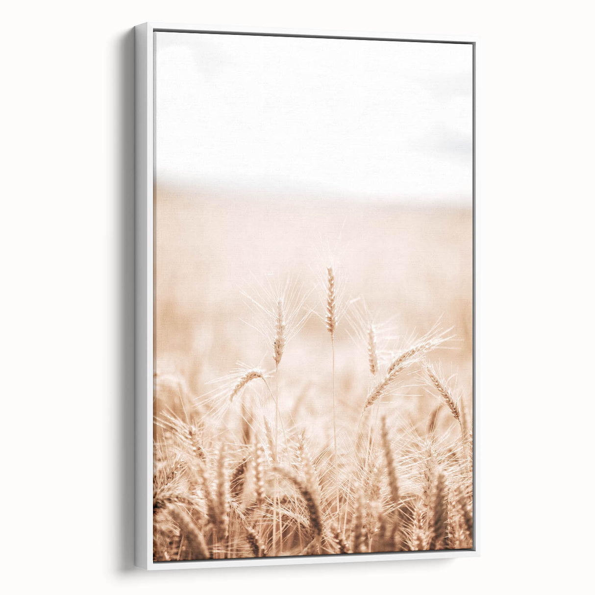 Farmhouse Wall Art - Wheat Field for Rustic Country Living Decor