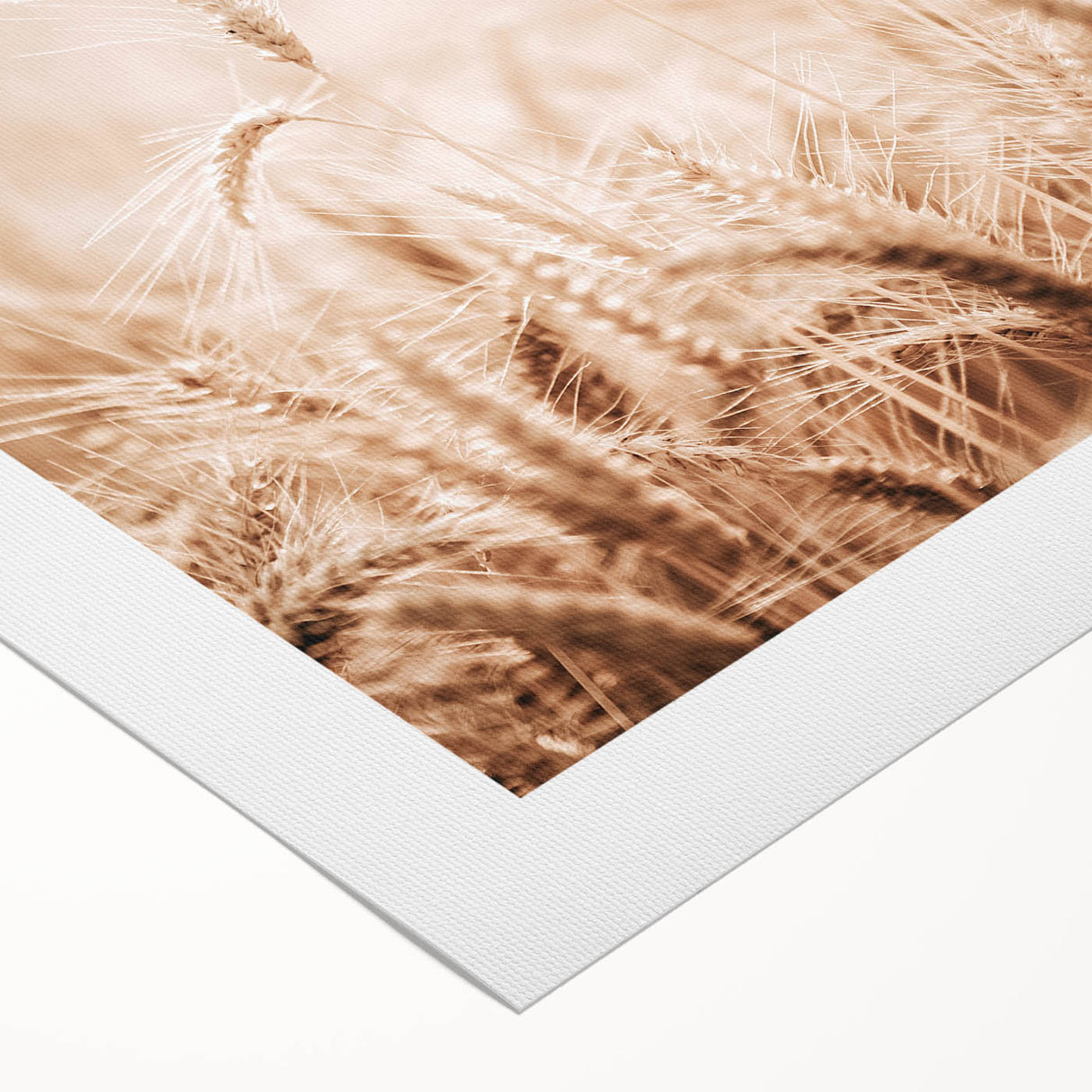 Farmhouse Wall Art - Wheat Field for Rustic Country Living Decor