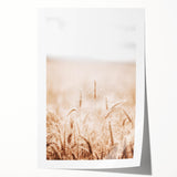 Farmhouse Wall Art - Wheat Field for Rustic Country Living Decor