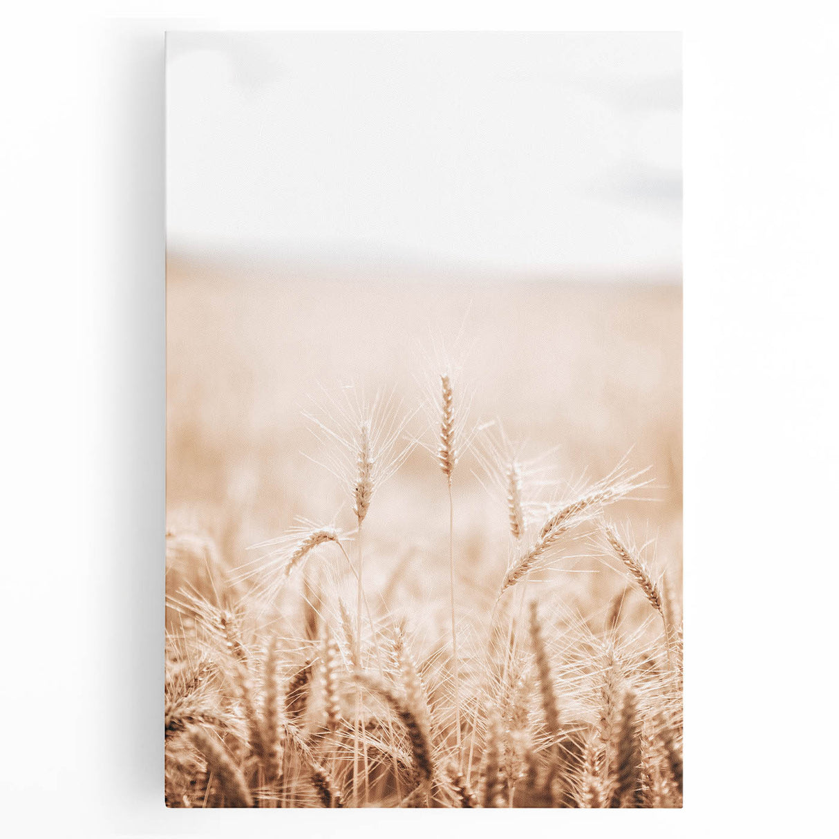 Farmhouse Wall Art - Wheat Field for Rustic Country Living Decor