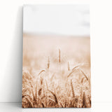 Farmhouse Wall Art - Wheat Field for Rustic Country Living Decor