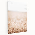 Farmhouse Wall Art - Wheat Field for Rustic Country Living Decor