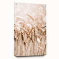 Farmhouse Wall Art - Wheat Harvest Design for Rustic Country Decor