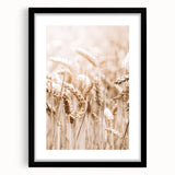 Farmhouse Wall Art - Wheat Harvest Design for Rustic Country Decor