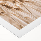 Farmhouse Wall Art - Wheat Harvest Design for Rustic Country Decor